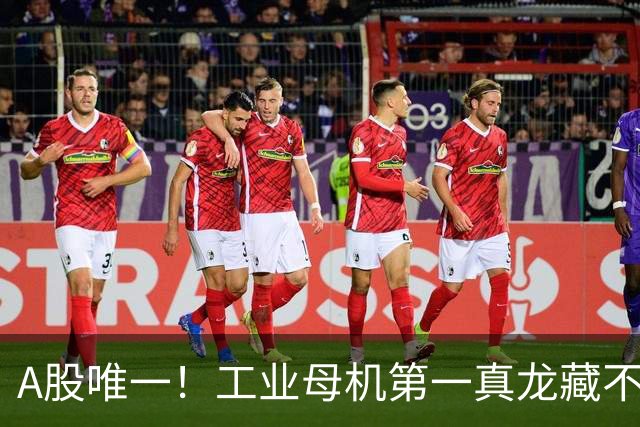 A股唯一！工业母机第一真龙藏不住了，近期量能持续放大，国际投行疯狂抢筹？